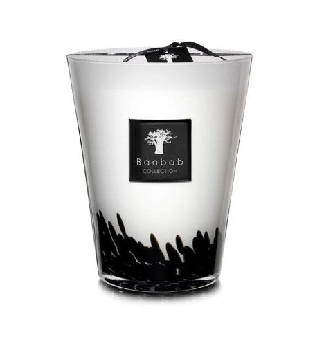 Candle Feathers - Max 16