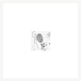 Exotic Artwork 20''x20''