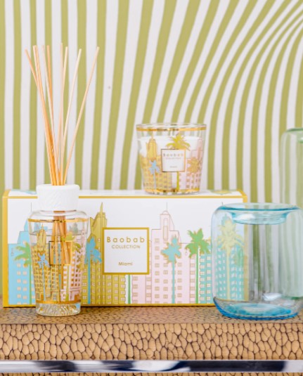 Gift Box My First Baobab