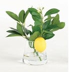 Lemon Accent in Water | 10"H X 10"W X 10"D