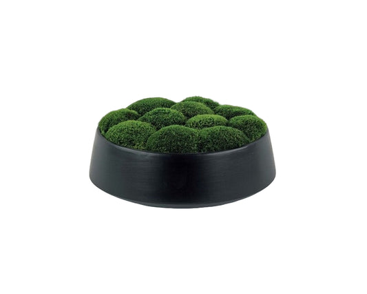 Mood Moss