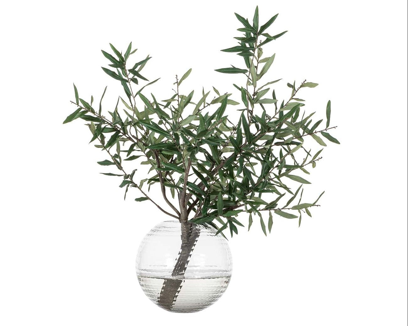 Olive Branch in Round Vase