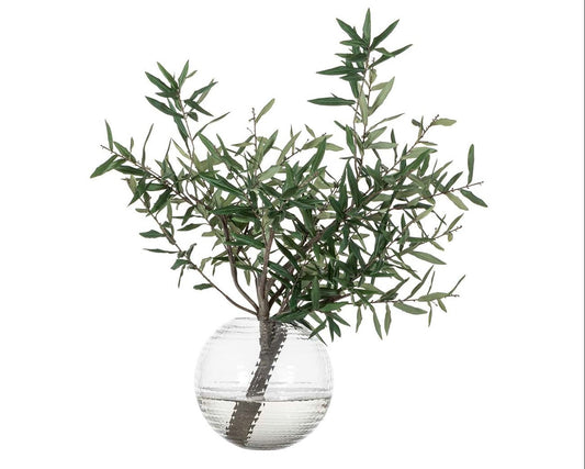 Olive Branch in Round Vase