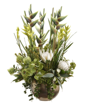 Heliconia/Protea in Planter Green Cream