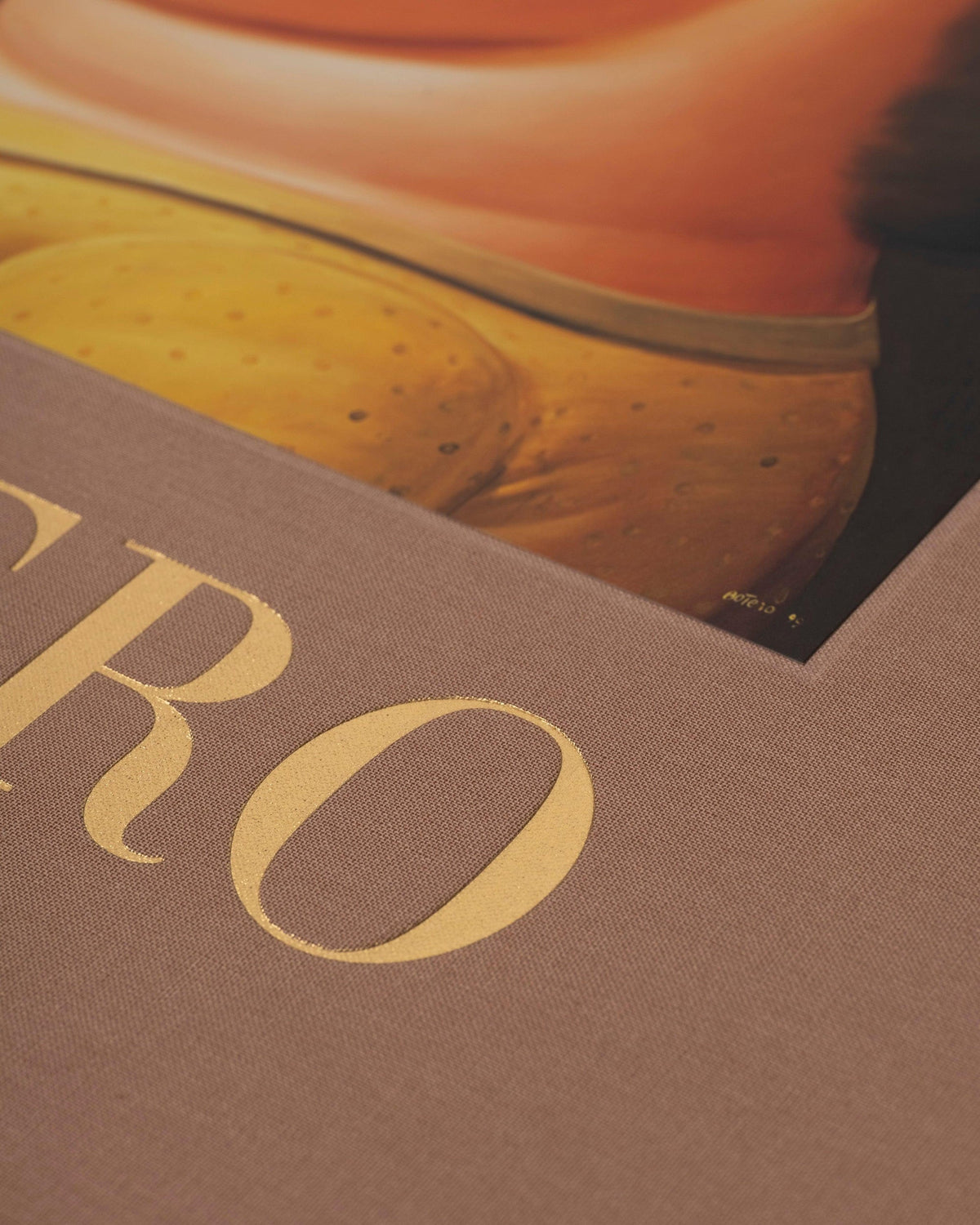 Fernando Botero Book