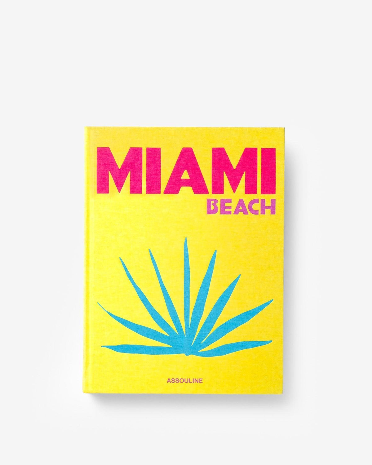 Miami Beach Book