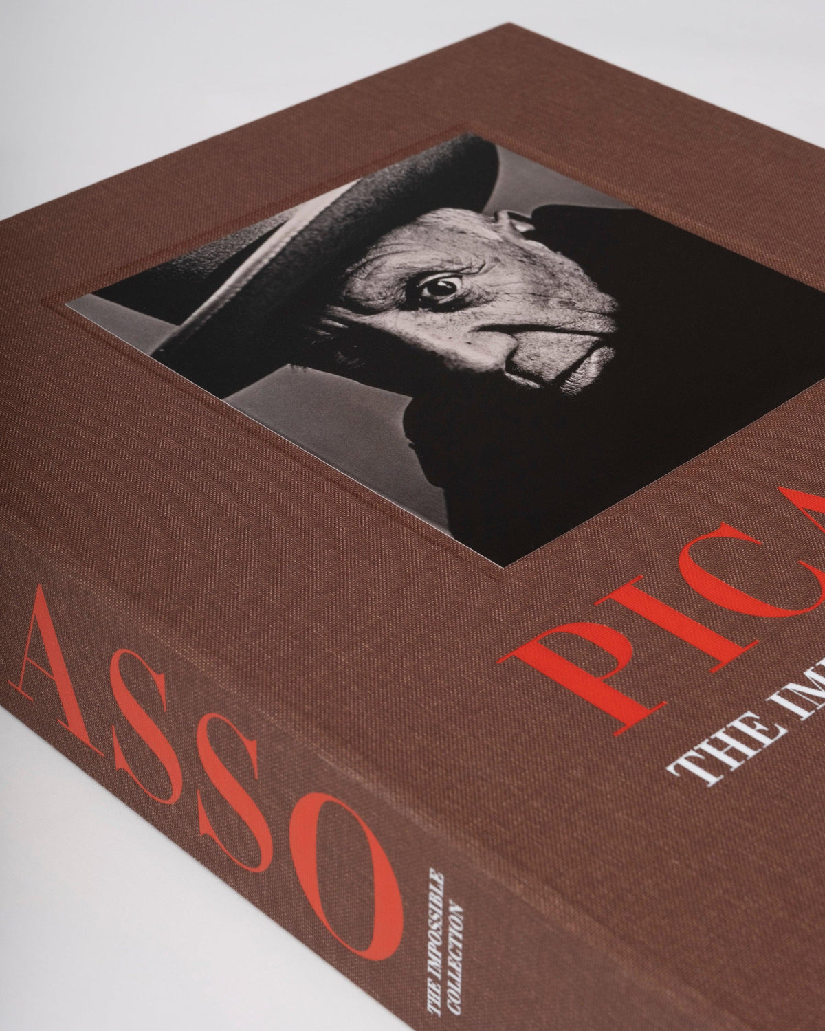 Picasso The Impossible Collection