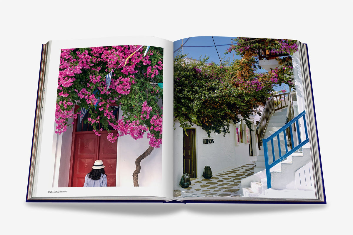 Mykonos Muse Book