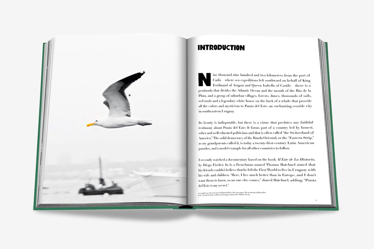 Punta Del Este Book