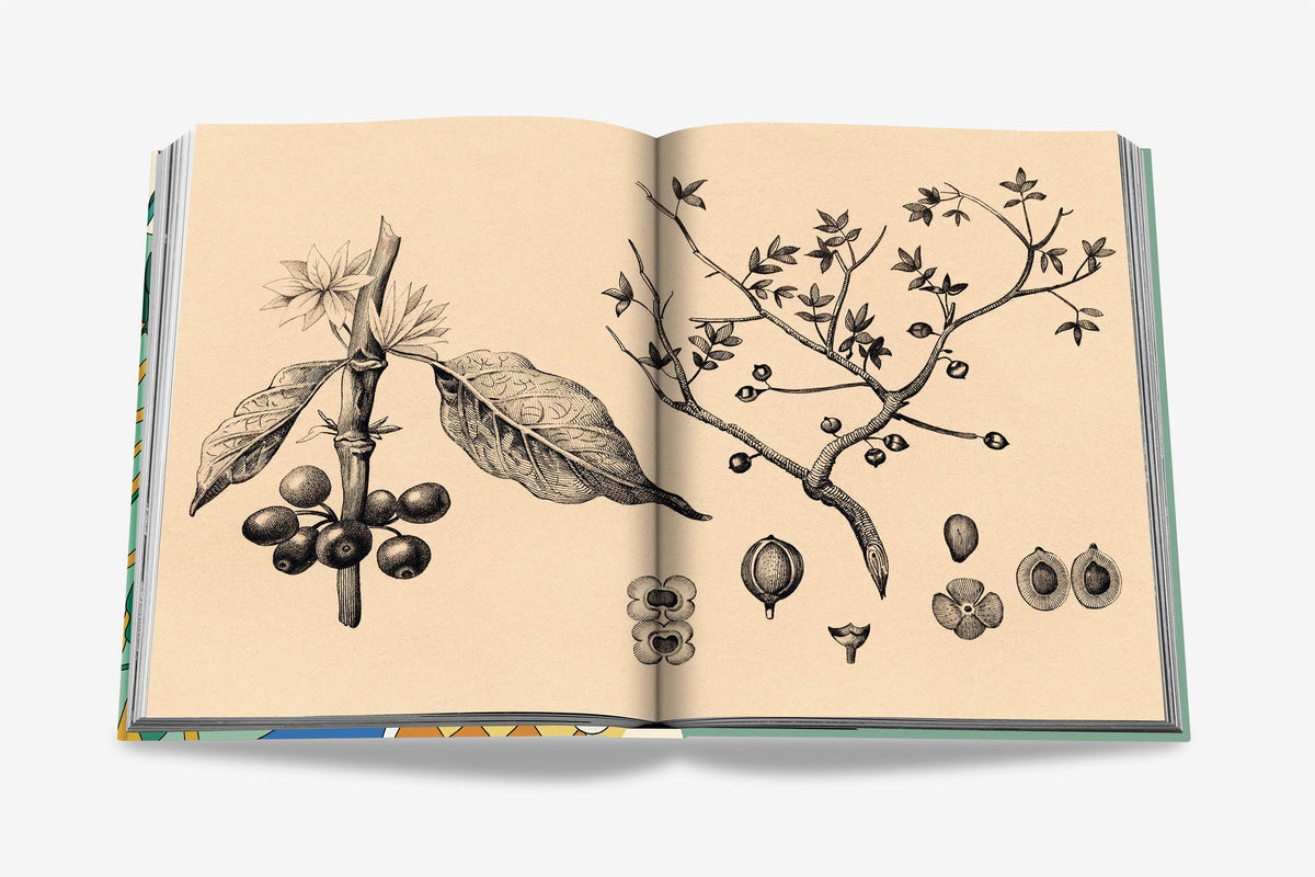Saudi Coffee: The Culture of Hospitality Book