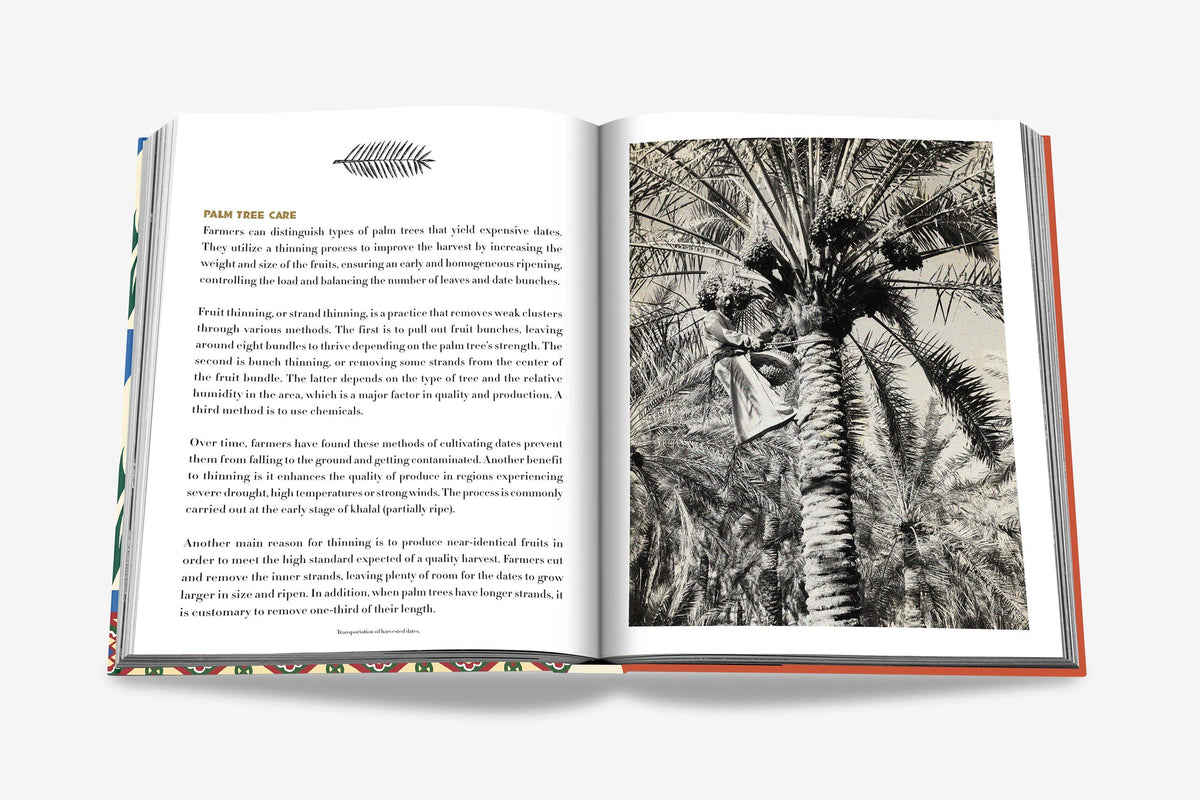 Saudi Dates: A Portrait of the Sacred Fruit Book