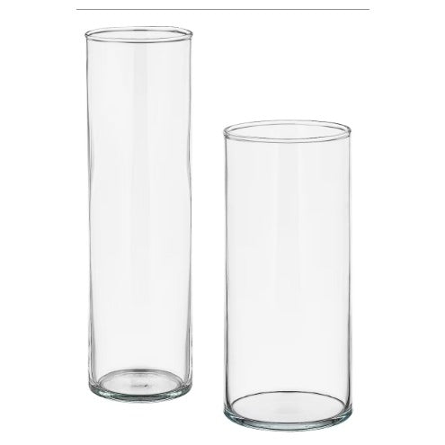 Set of 2 Glass Vases