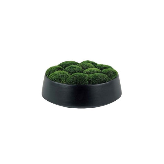 Mood Moss