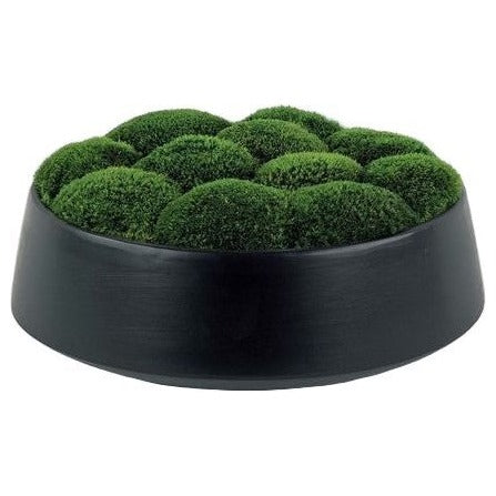 Mood Moss