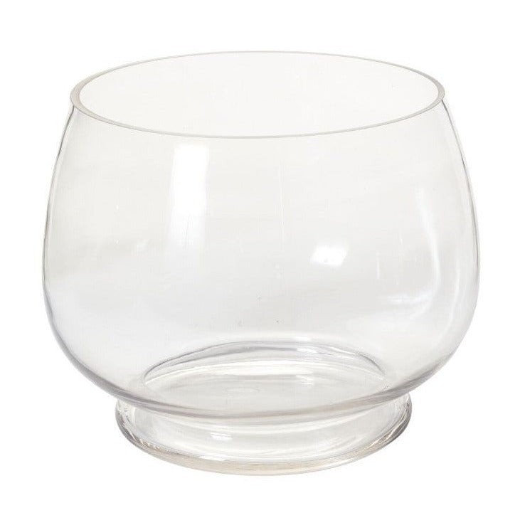 Discovery Terrarium