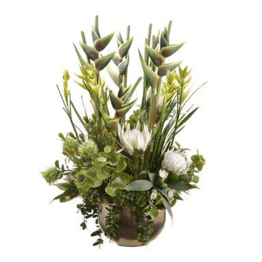 Heliconia/Protea in Planter Green Cream
