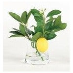 Lemon Accent in Water 