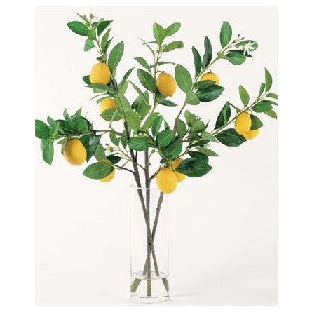 Tall Accent of Lemons in Water 