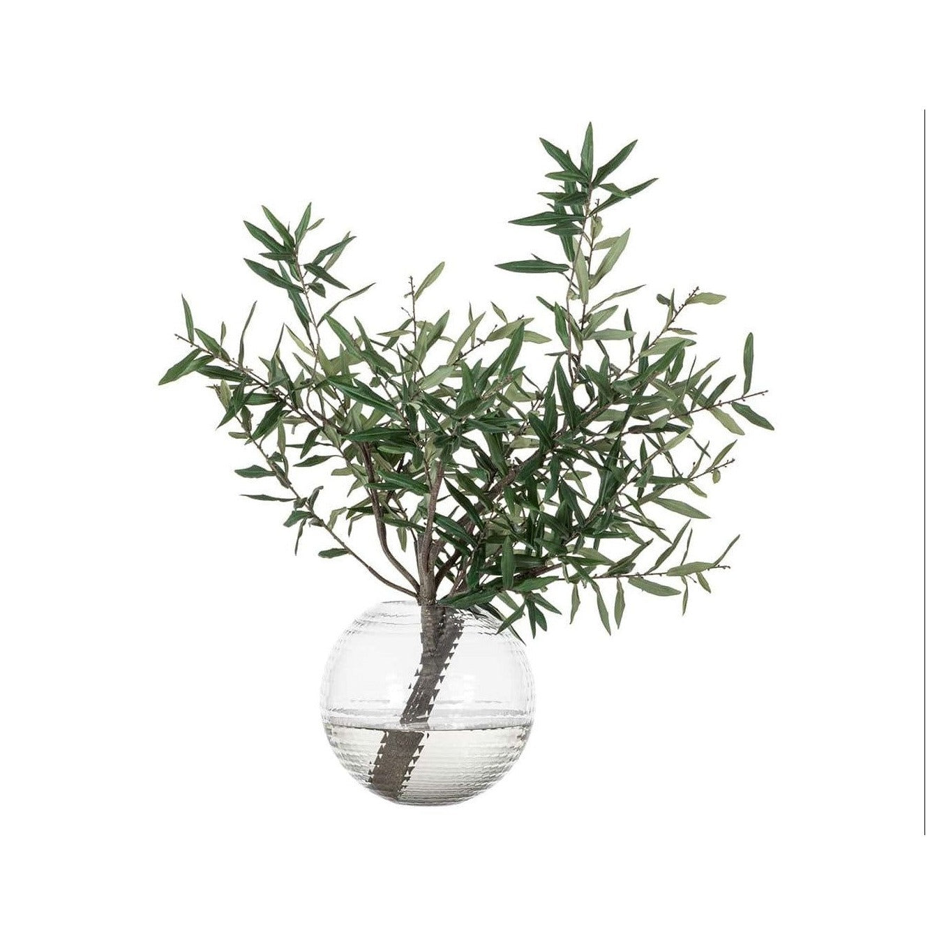 Olive Branch in Round Vase