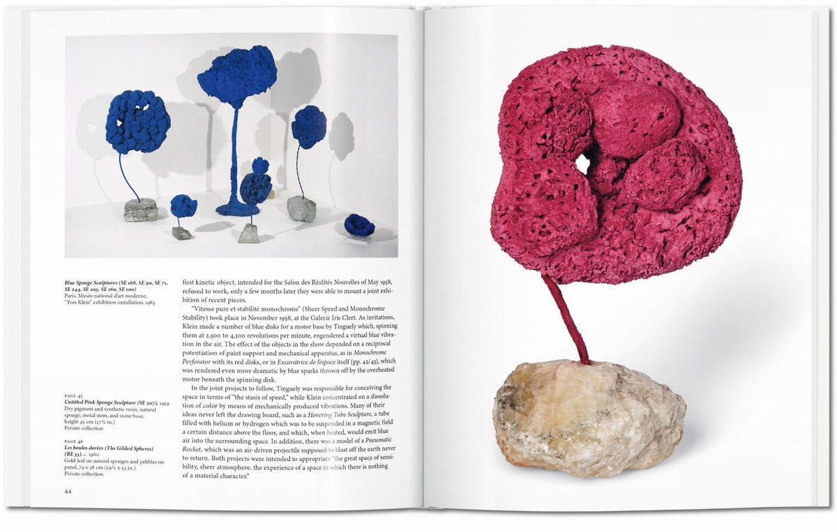 Yves Klein Book