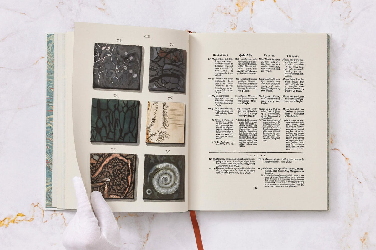 Jan Christiaan Sepp. The Book of Marble