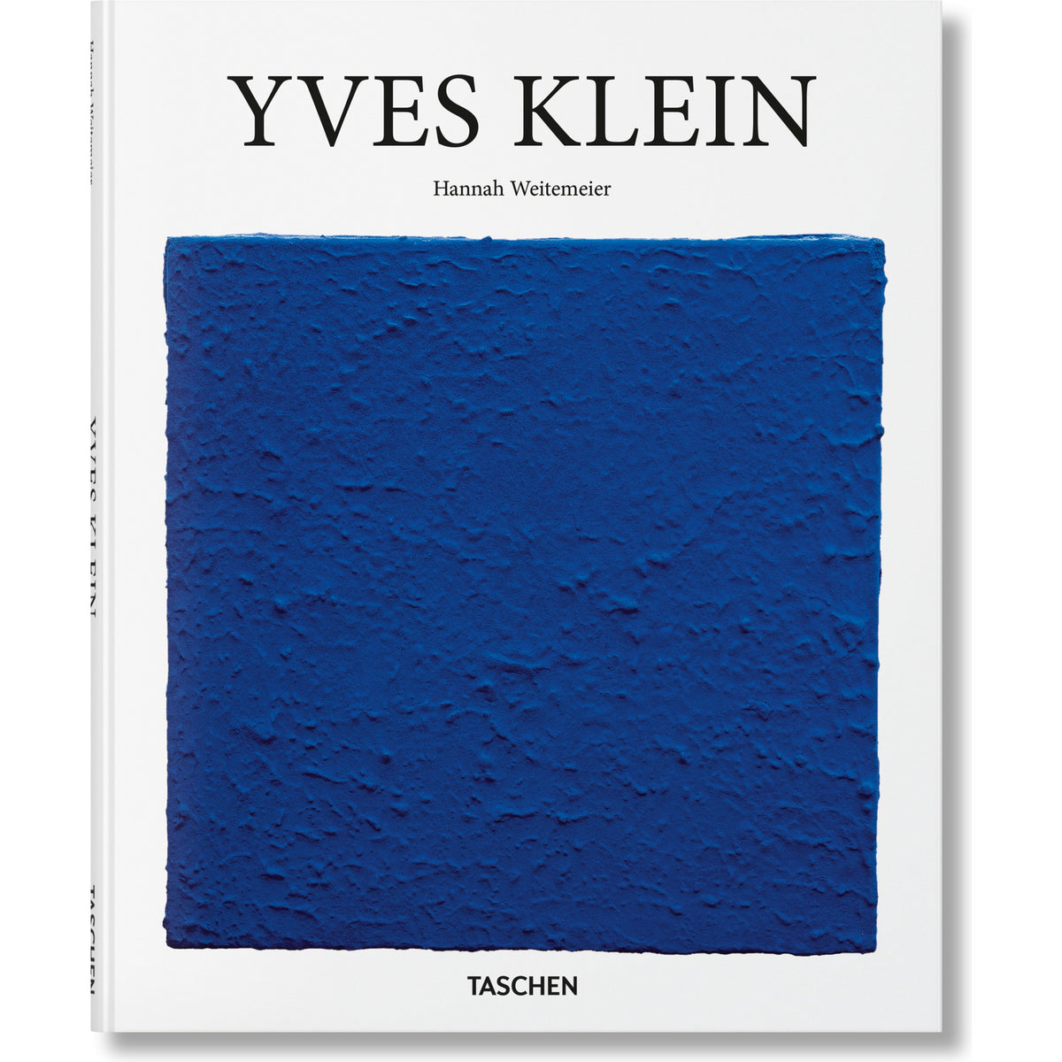 Yves Klein Book
