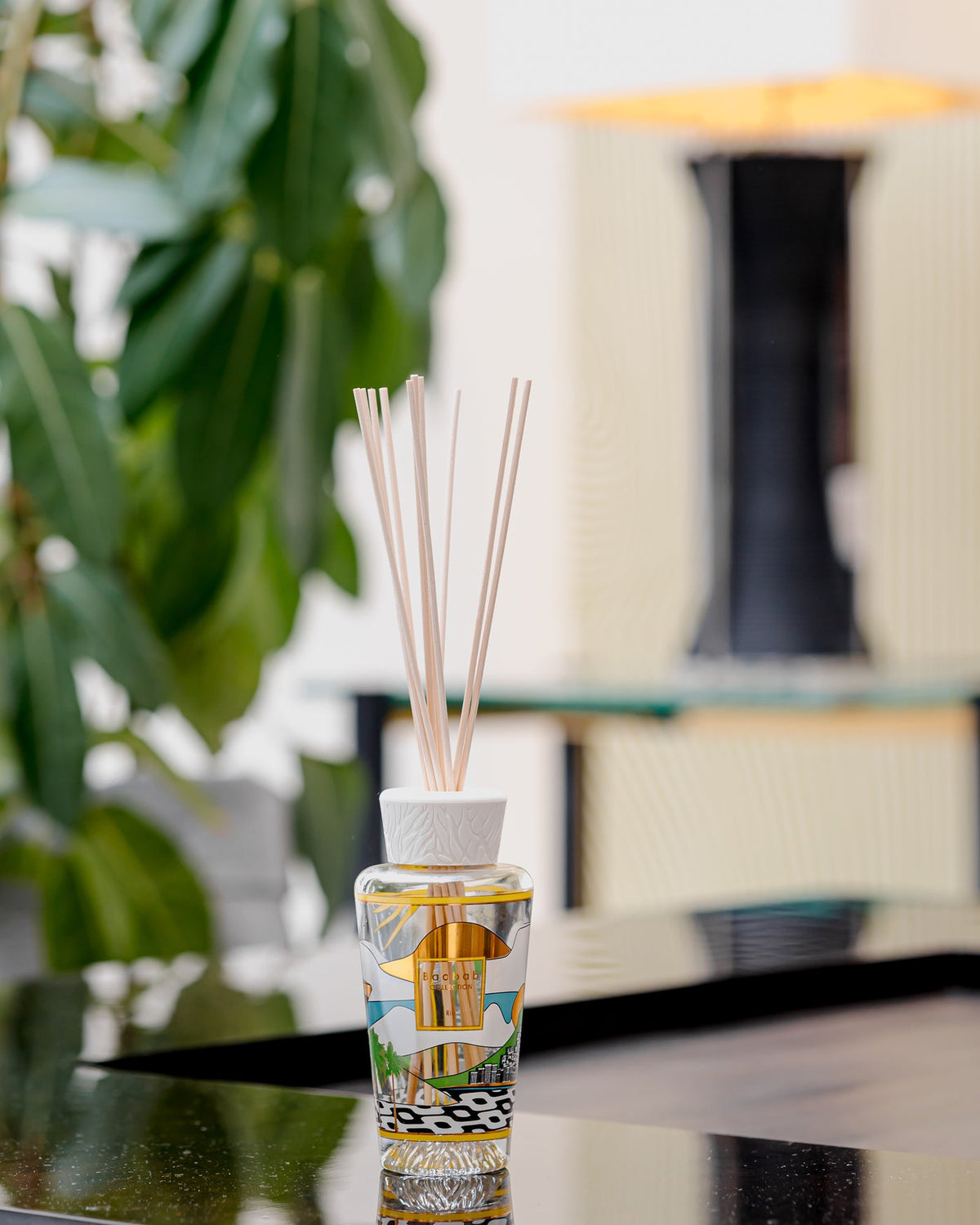 Baobab Diffuser IX
